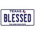 Blessed Texas Novelty Sticker Decal