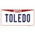 Toledo Ohio Novelty Sticker Decal