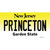 Princeton New Jersey Novelty Sticker Decal