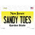 Sandy Toes New Jersey Novelty Sticker Decal