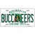 Buccaneers Florida State Novelty Metal License Plate