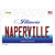 Naperville Illinois Novelty Sticker Decal