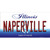 Naperville Illinois Novelty Sticker Decal