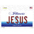 Jesus Illinois Novelty Sticker Decal