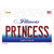 Princess Illinois Novelty Sticker Decal