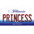 Princess Illinois Novelty Sticker Decal