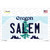 Salem Oregon Novelty Sticker Decal