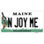N Joy ME Maine Novelty Sticker Decal