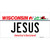 Jesus Wisconsin Novelty Sticker Decal