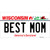 Best Mom Wisconsin Novelty Sticker Decal