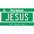 Jesus Vermont Novelty Sticker Decal