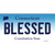 Blessed Connecticut Novelty Sticker Decal