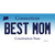 Best Mom Connecticut Novelty Sticker Decal