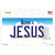 Jesus Iowa Novelty Sticker Decal