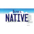 Native Iowa Novelty Sticker Decal