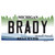 Brady Michigan Novelty Sticker Decal
