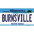Burnsville Minnesota State Novelty Sticker Decal