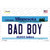 Bad Boy Minnesota State Novelty Sticker Decal