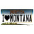 I Love Montana State Novelty Sticker Decal