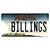 Billings Montana State Novelty Sticker Decal
