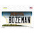 Bozeman Montana State Novelty Sticker Decal