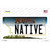 Native Montana State Novelty Sticker Decal