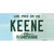 Keene New Hampshire State Novelty Sticker Decal