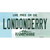 Londonderry New Hampshire State Novelty Sticker Decal