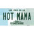 Hot Mama New Hampshire State Novelty Sticker Decal