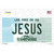 Jesus New Hampshire State Novelty Sticker Decal