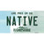 Native New Hampshire State Novelty Sticker Decal