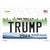 Trump 2020 Michigan Background Novelty Sticker Decal