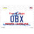 OBX North Carolina Novelty Sticker Decal