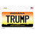 Trump Indiana Novelty Sticker Decal