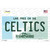Celtics New Hampshire State Novelty Sticker Decal