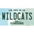 Wildcats New Hampshire Novelty Sticker Decal