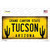 Arizona Tucson Novelty Sticker Decal