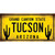 Arizona Tucson Novelty Sticker Decal