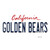 Golden Bears Novelty Sticker Decal