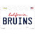 Bruins Novelty Sticker Decal