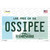Ossipee New Hampshire Novelty Sticker Decal