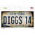 Diggs 14 Excelsior New York Rusty Novelty Sticker Decal