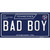 Bad Boy Tennessee Blue Novelty Sticker Decal