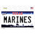 Texas Marines Novelty Sticker Decal