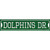 Dolphins Dr Novelty Narrow Sticker Decal