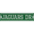 Jaguars Dr Novelty Narrow Sticker Decal
