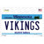 Vikings Minnesota State Novelty Sticker Decal