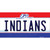 Indians Ohio State Novelty Sticker Decal