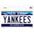 Yankees New York State Novelty Sticker Decal