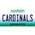 Cardinals Missouri State Novelty Sticker Decal
